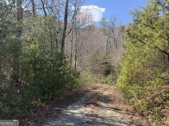 Land for sale in Dillard, Georgia