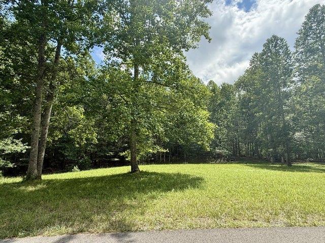 Land for sale in Tennessee