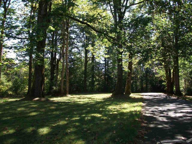 Apartment for rent in Renton, Washington