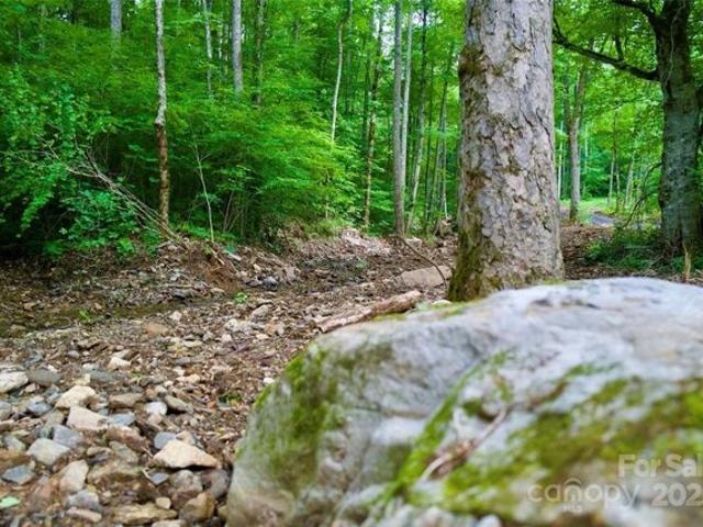 Land for sale in Spruce Pine
