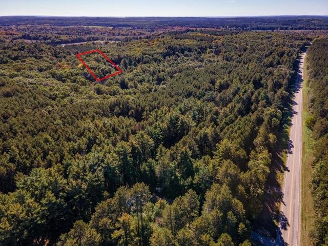 Land for sale in Town of Leon, Waushara County