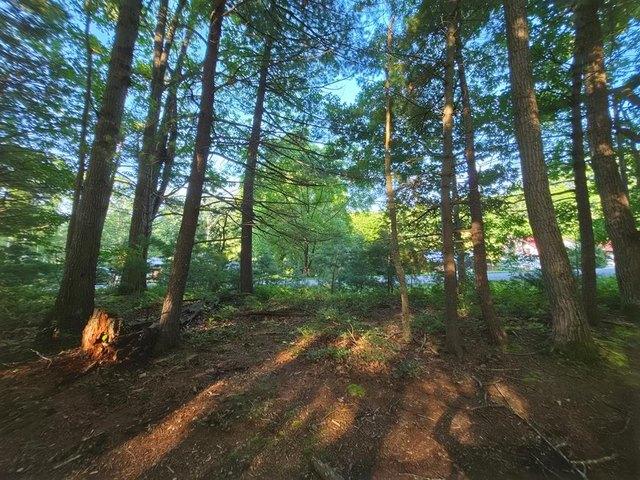 Land for sale in Virginia