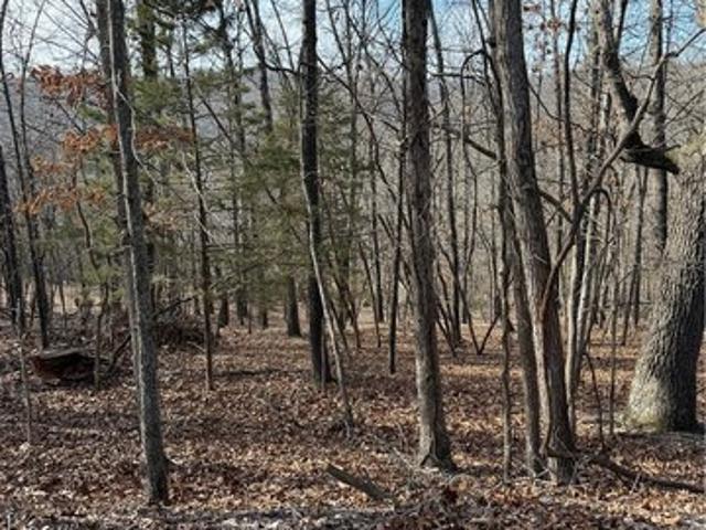 Land for sale in Ark