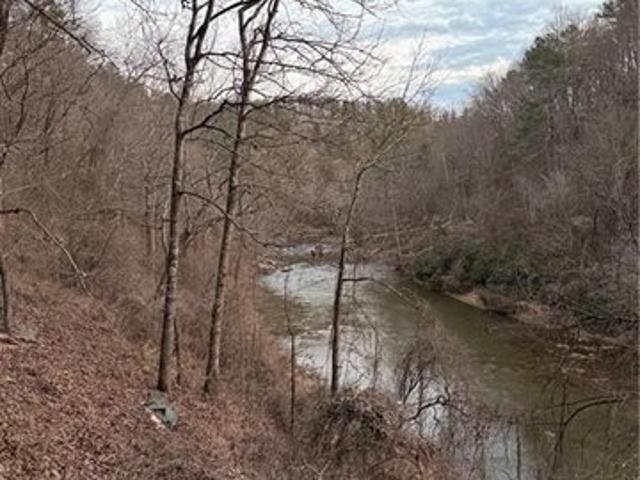 Land for sale in Pickens, Georgia