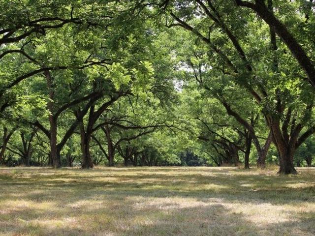 Farm for sale in Hurtsboro, Alabama