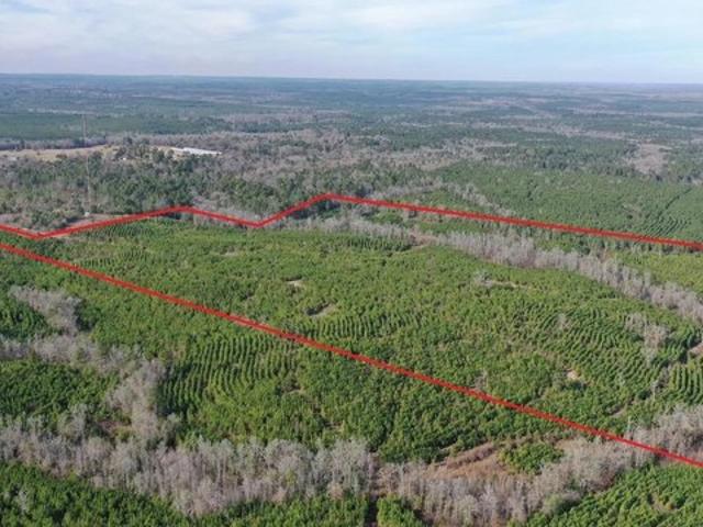 Farm for sale in Marion, Texas
