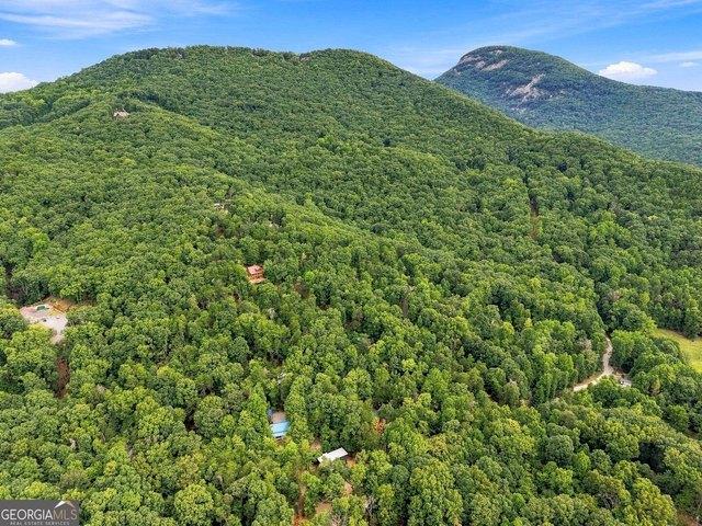 Land for sale in Cleveland, Georgia