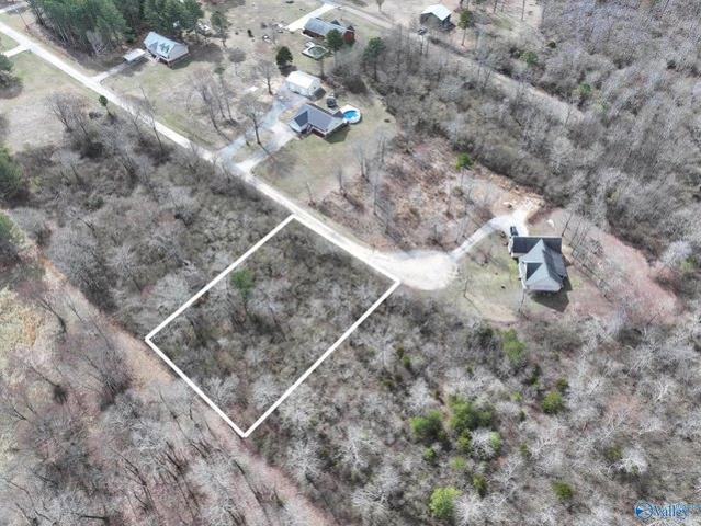 Land for sale in Geraldine, Alabama