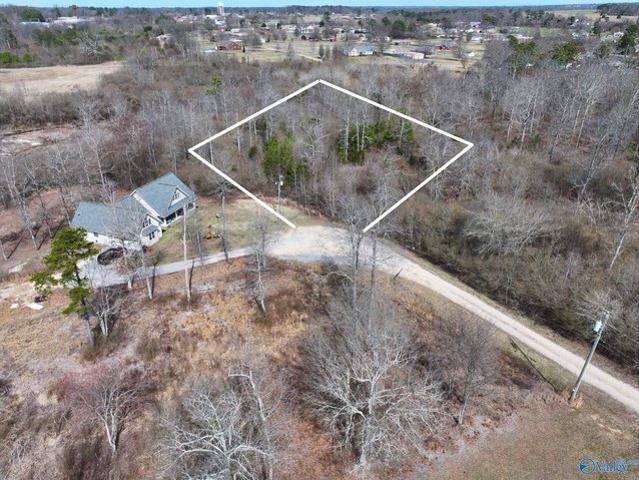 Land for sale in Geraldine, Alabama