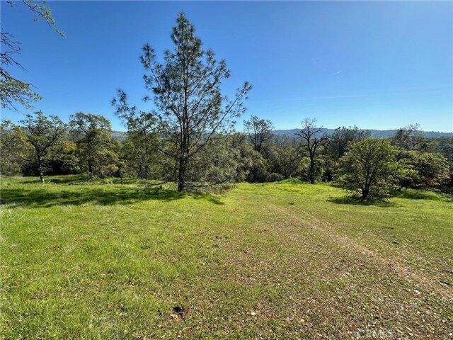 Land for sale in Butte, California