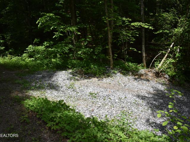 Land for sale in Ewing, Lee County