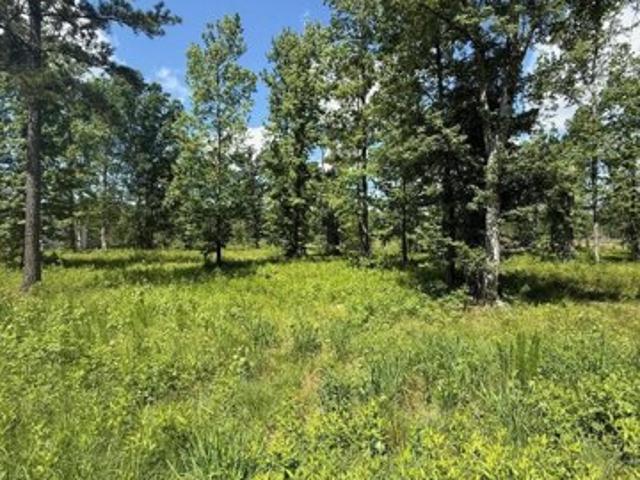 Land for sale in Harlem