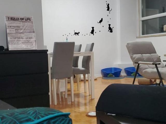 Apartment for rent in Woburn, Ontario