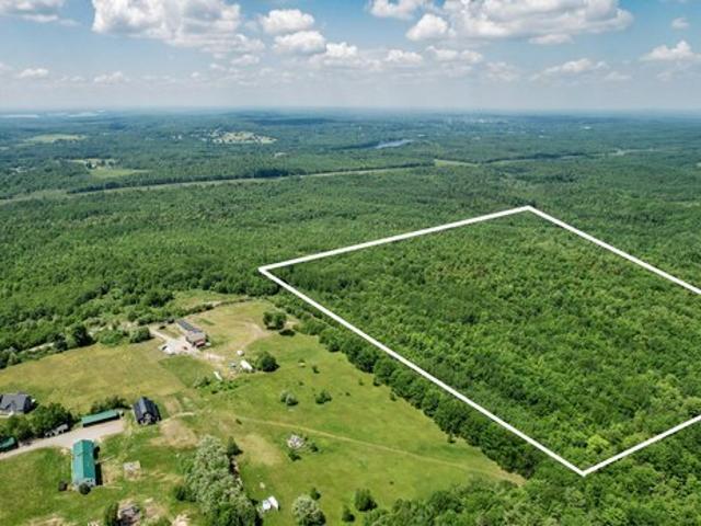 Land for sale in Eddington, Maine