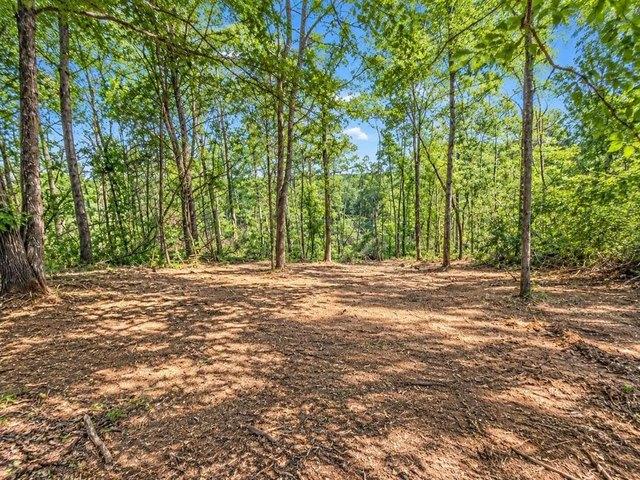 Land for sale in Hanson, Kentucky
