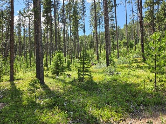Land for sale in Anaconda, Montana