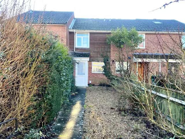 House for rent