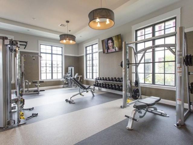 Apartment for rent in Davie, Florida