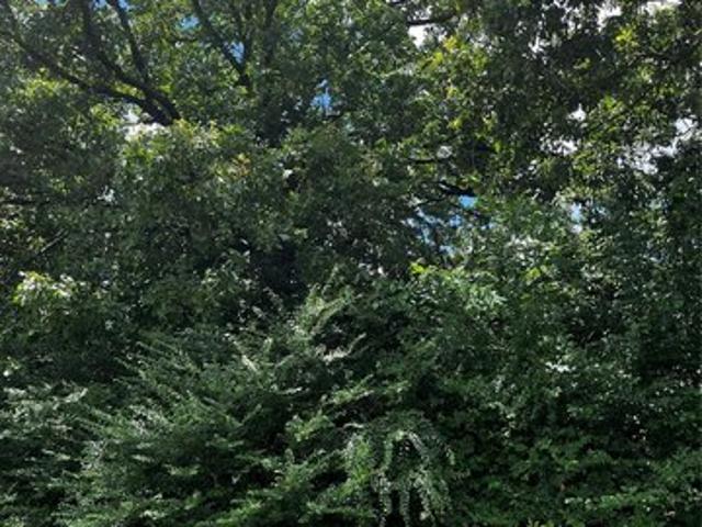 Land for sale in Roland, Oklahoma