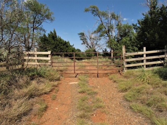 Land for sale in Shamrock