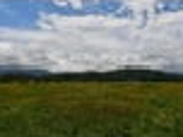 Land for sale in Little Wanganui, West Coast