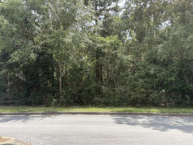 Land for sale in Opp, Alabama