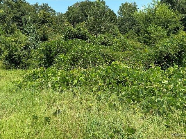 Land for sale in Fosters