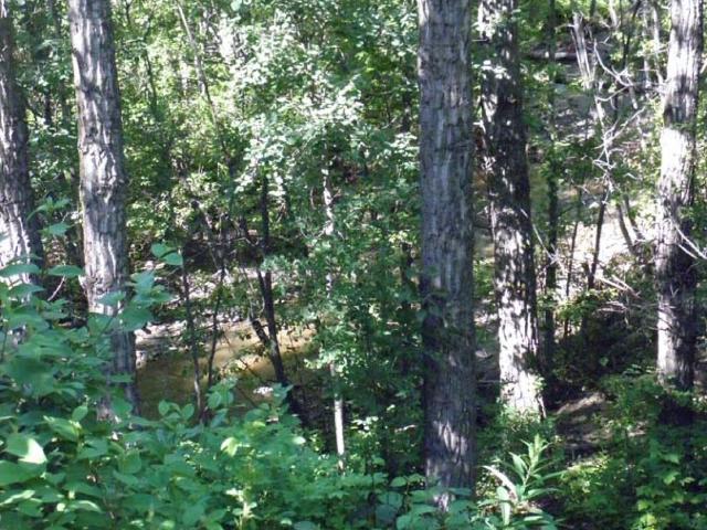 Apartment for rent in Chetwynd, British Columbia