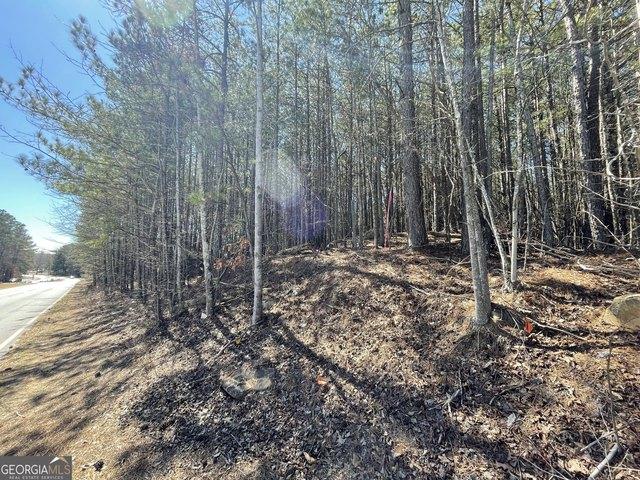 Land for sale in Union City, Georgia