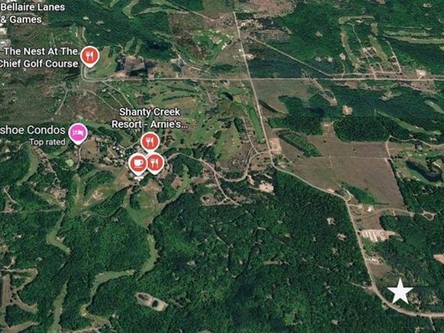 Land for sale in Bellaire, Michigan