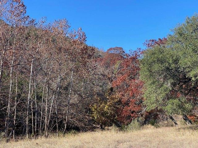Farm for sale in Doss, Texas