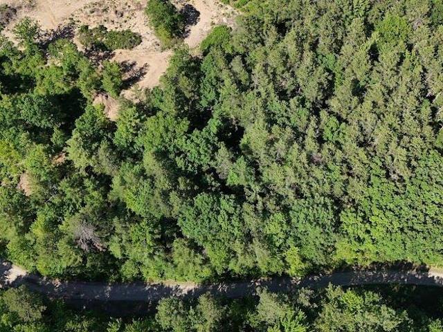 Land for sale in Shapleigh, Maine