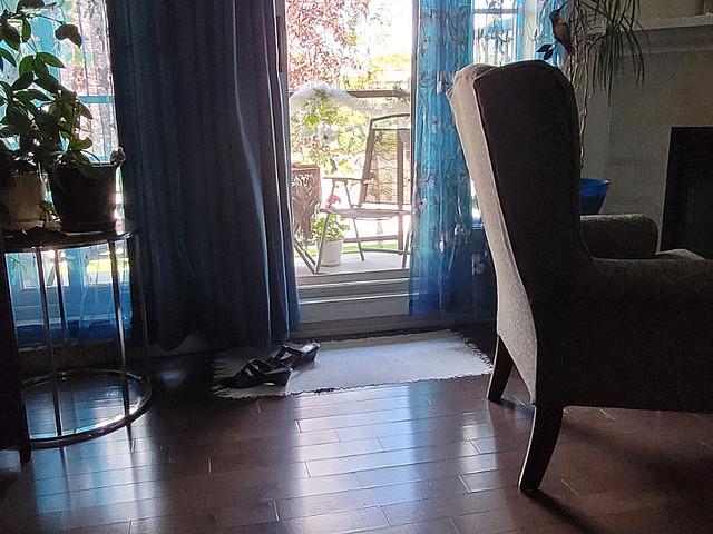 Condo for rent in Northwest, Alberta