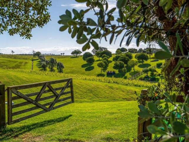 Land for sale in Karetu, Northland