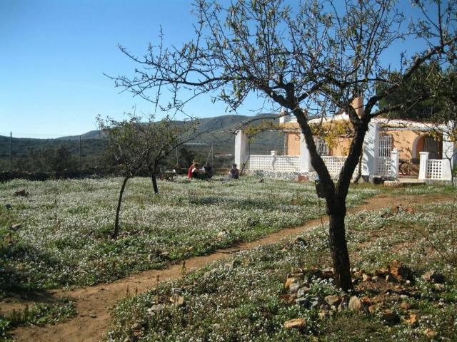 Habitación en alquiler en La Serranía, Valencia
