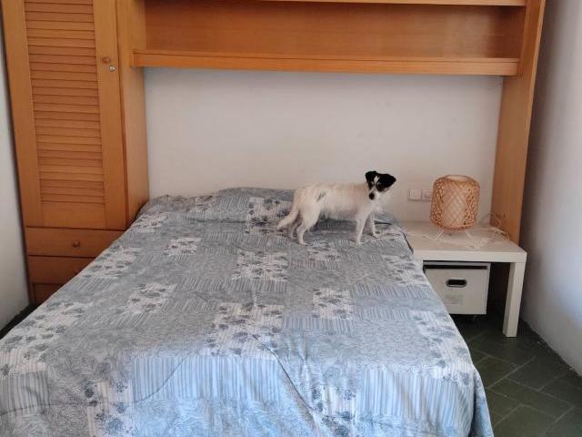 Habitación en alquiler en Ocata, Maresme
