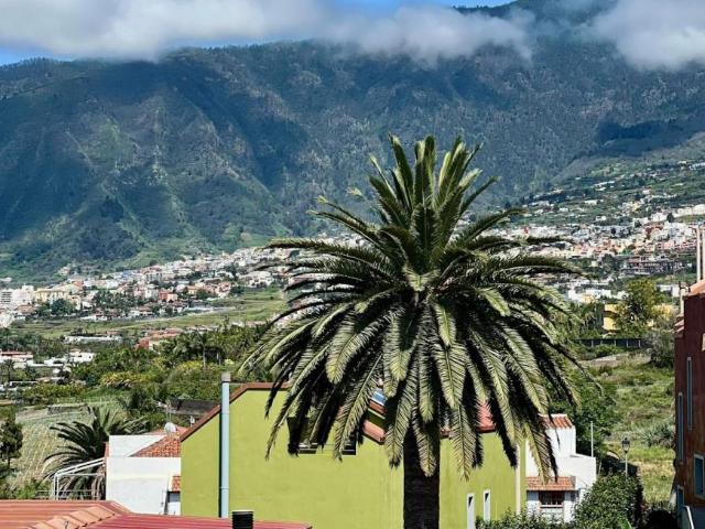 Habitación en alquiler en La Luz, La orotava