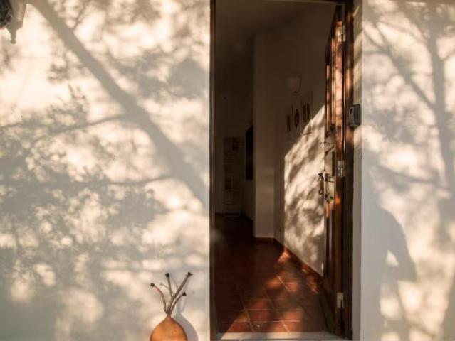 Quarto alugar em Azeitão (São Lourenço e São Simão), Setúbal