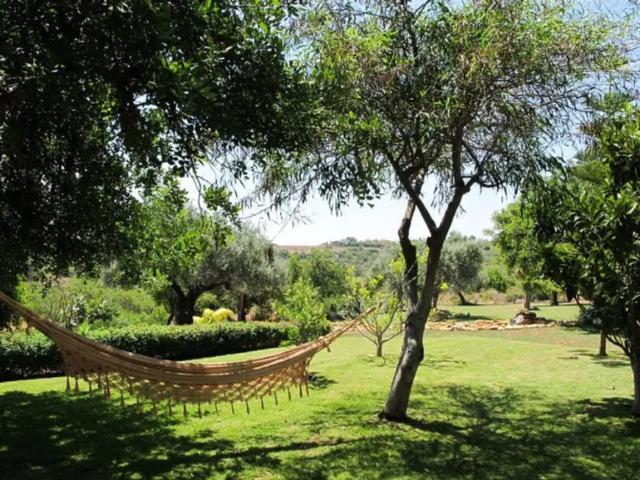 Quarto alugar em Faro