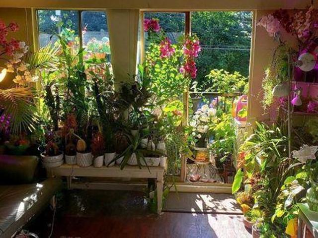 Room for rent in Coquitlam, British Columbia