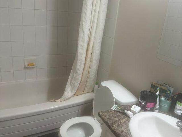 Room for rent in Wedgewood, Alberta