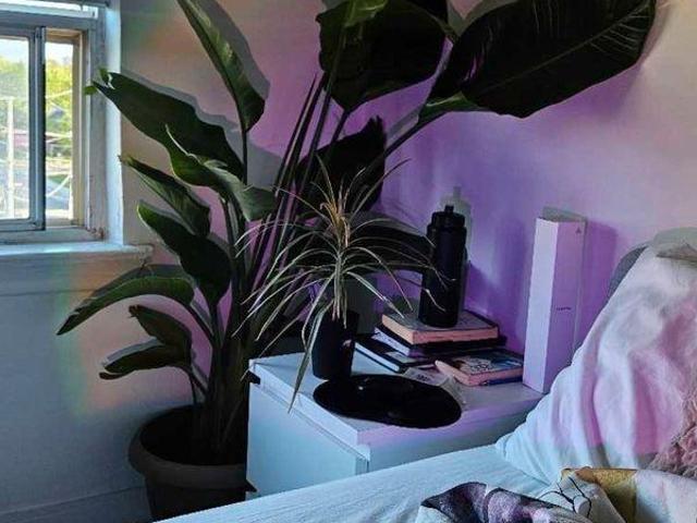 Room for rent in Woburn, Ontario