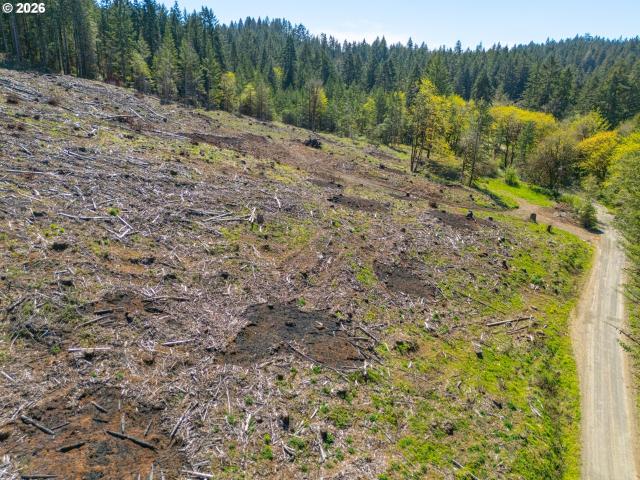 Land for sale in Oregonia