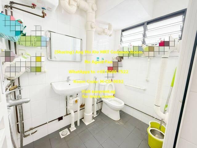 Room for rent