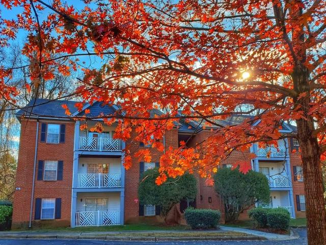Apartment for rent in Mecklenburg, North Carolina