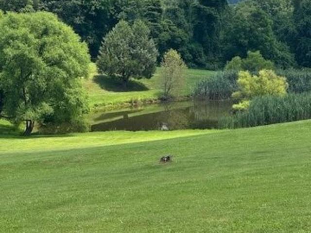 Land for sale in Jarrettsville Land for sale in Jarrettsville