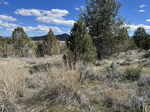 Land for sale in Oregonia