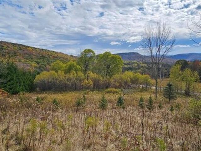 Land for sale in Andes, New York
