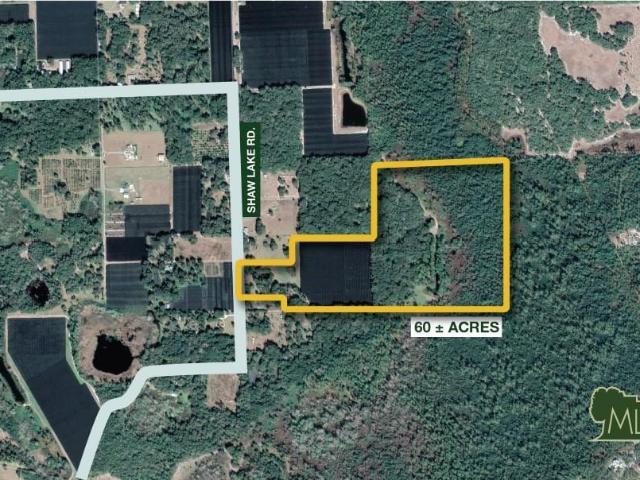 Land for sale in Pierson, Florida