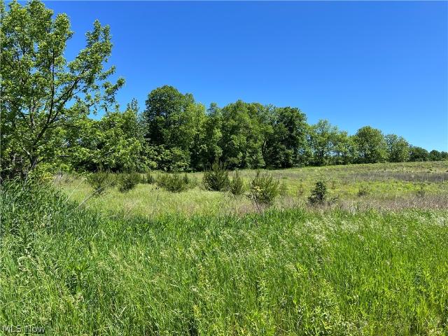 Land for sale in Spencer, Ohio